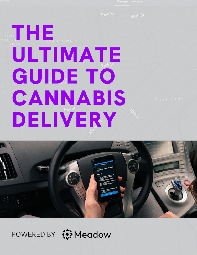 A book cover labeled "The Ultimate Guide to Cannabis Delivery, powered by Meadow"