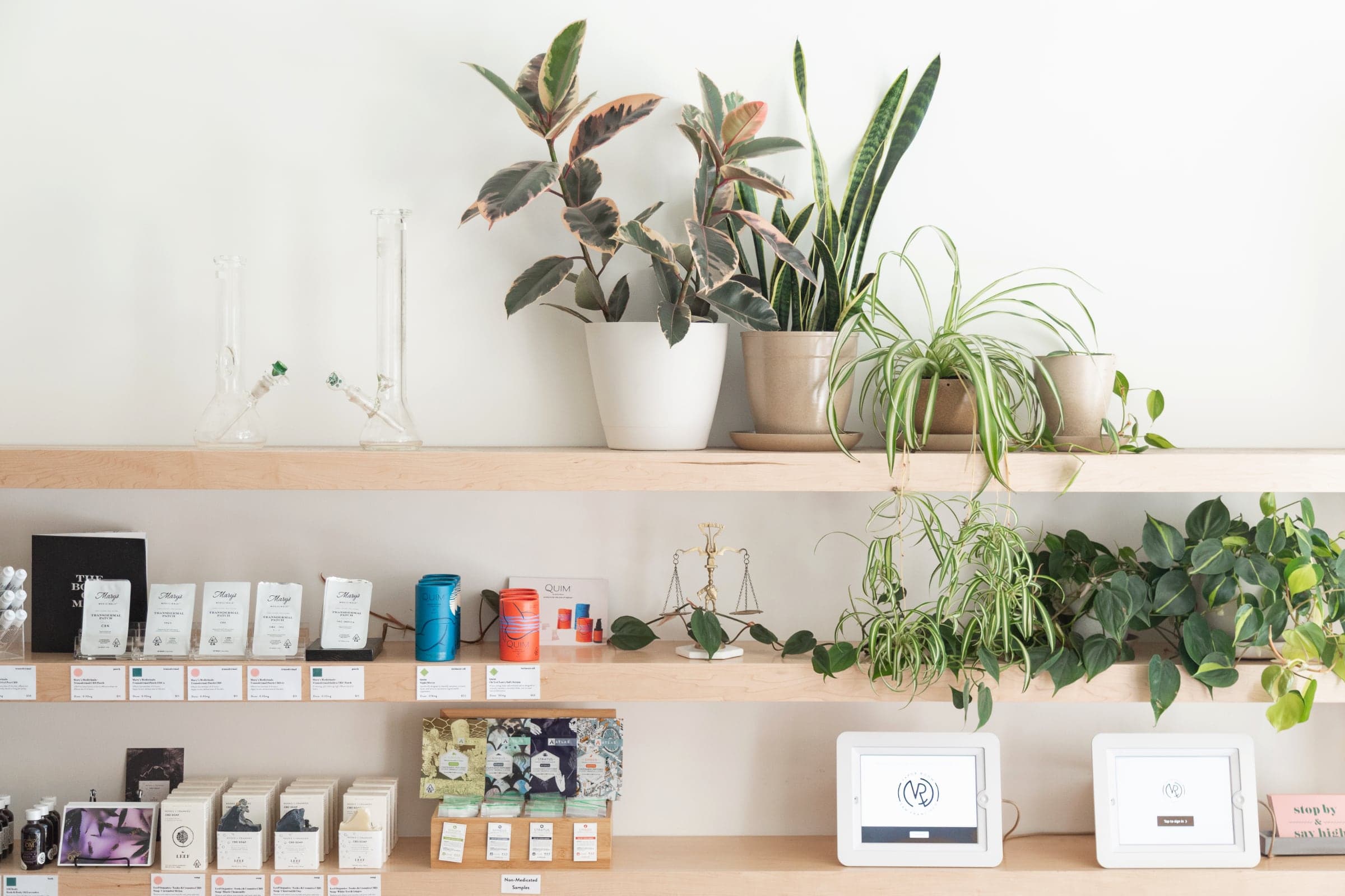 Shelves of cannabis products and plants at The Vapor Room