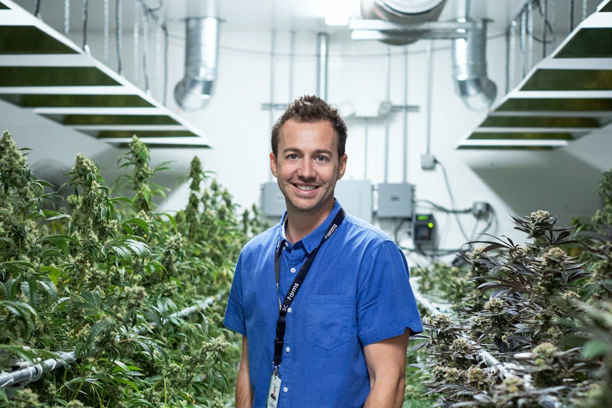 A man standing in the middle of a large white room full of cannabis plants