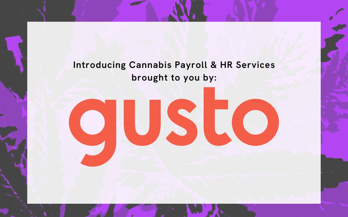 Paychex dropped your cannabis business? Check out Gusto for payroll and HR