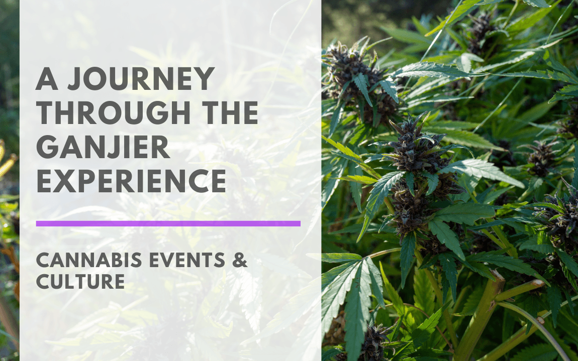 A Journey Through the Ganjier Experience CANNABIS EVENTS & CULTURE