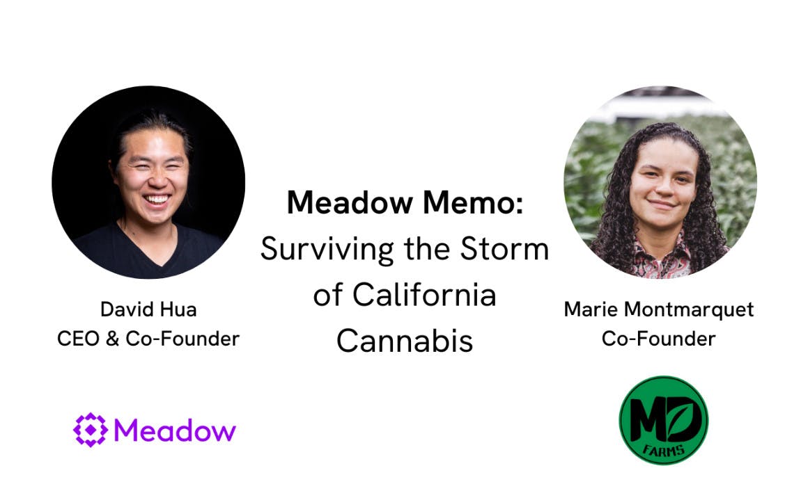 Learn more about the issues with California cannabis industry in this interview with Meadow CEO David Hua and MD Numbers Co-Founder Marie Montmarquet